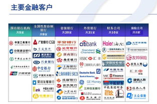 重慶軟件開發(fā)行業(yè)洞察 機(jī)遇、挑戰(zhàn)與發(fā)展趨勢(shì)